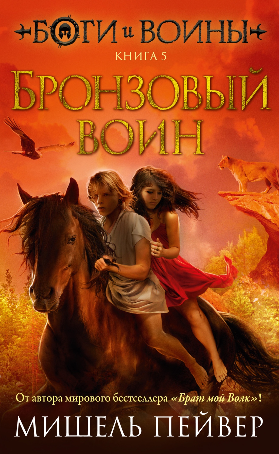 Боги и воины.Кн.5.Бронзовый воин