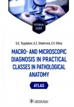 Macro- and microscopic diagnosis in practical cl