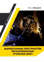 Виктор Забурдяев: Выработанные пространства метанообильных угольных шахт. Монография