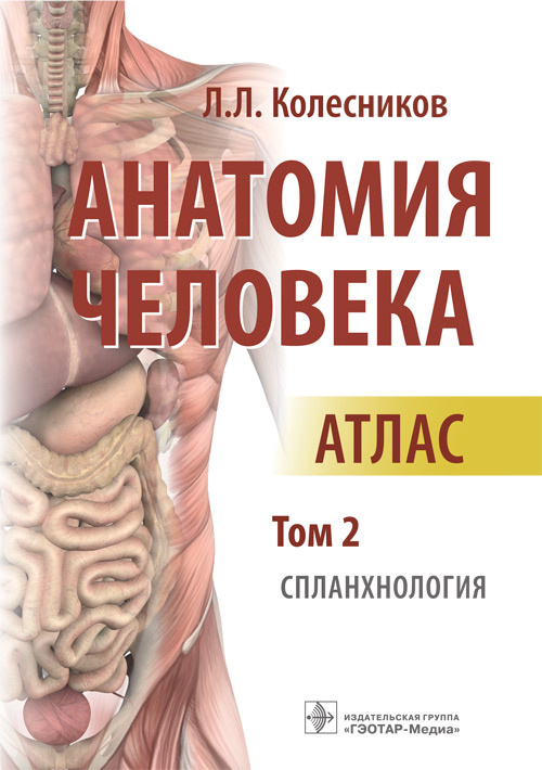 Лев Колесников: Анатомия человека. Атлас. Том 2. Спланхнология