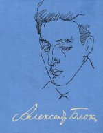 Полное собрание сочинений и писем в 20-х томах. Том 13. Записные книжки (1901-1914)