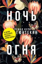 Решад Гюнтекин: Ночь огня