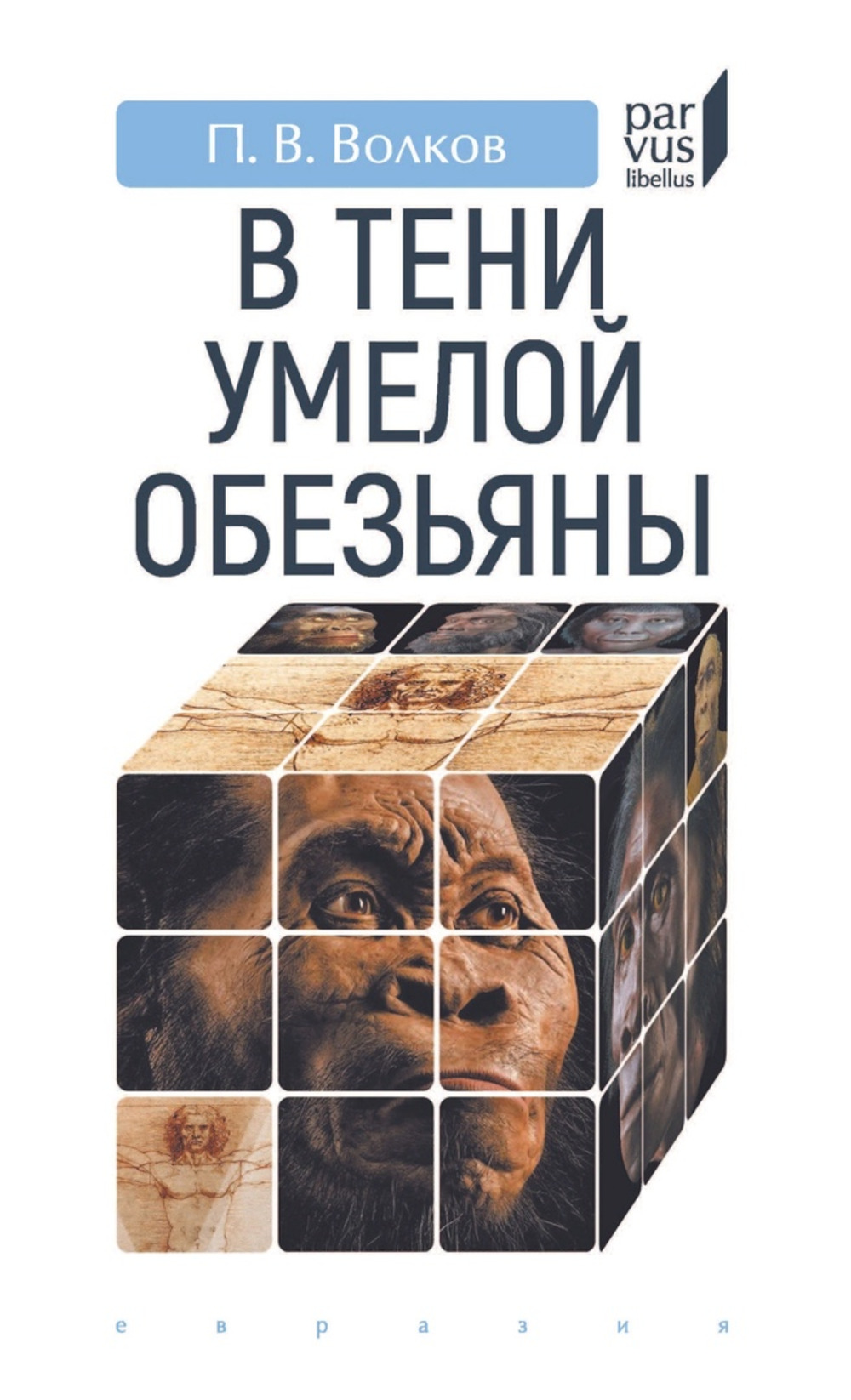 В тени умелой обезьяны (приключения, великие открытия и заблуждения в археологии каменного века)