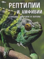 Рептилии и амфибии. Гекконы, лягушки и вараны. Энциклопедия. 197х255мм. 7БЦ. 48 стр. Умка в кор.15шт