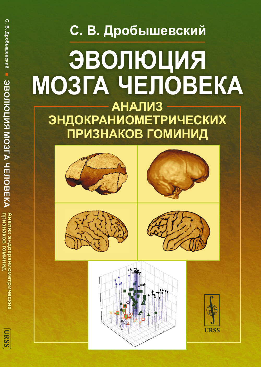 Эволюция мозга человека: Анализ эндокраниометрических признаков гоминид. Изд. стереотип