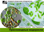 Пресноводные водоросли. Карманный определитель