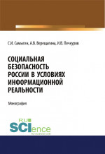 Социальная безопасность России в условиях информационной реальности. (Аспирантура, Бакалавриат, Магистратура). Монография