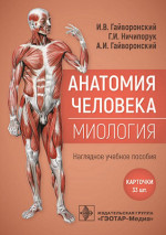 Анатомия человека. Миология. Карточки: наглядное учебное пособие