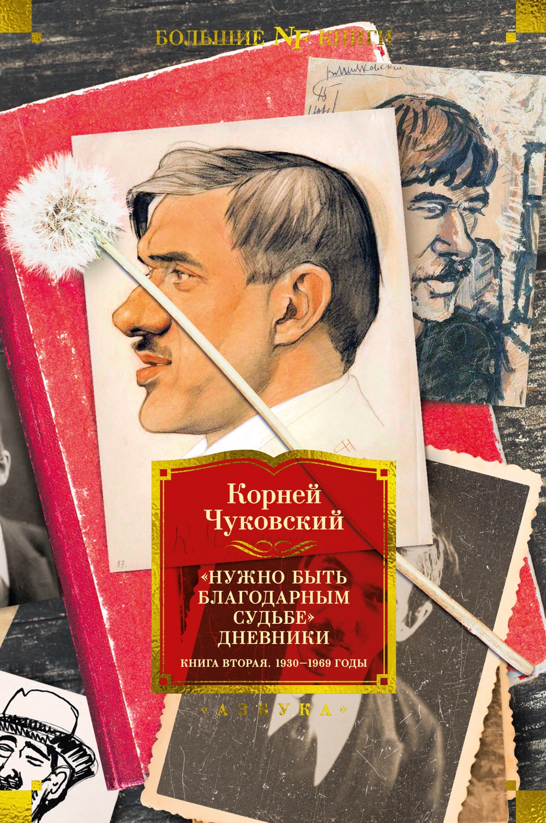 "Нужно быть благодарным судьбе". Дневники. Книга