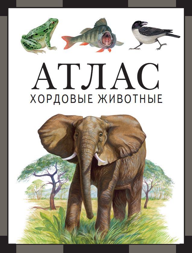 Хордовые животные : атлас (4-е, стереотипное)