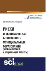 Риски и экономическая безопасность муниципальных образований. (Бакалавриат). Монография