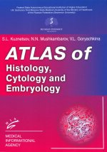 Кузнецов С.Л. Atlas of Histology, Cytology and Embryology / S.L. Kuznetsov, N.N. Mushkambarov, V.L. Goryachkina. 2024. Изд. МИА