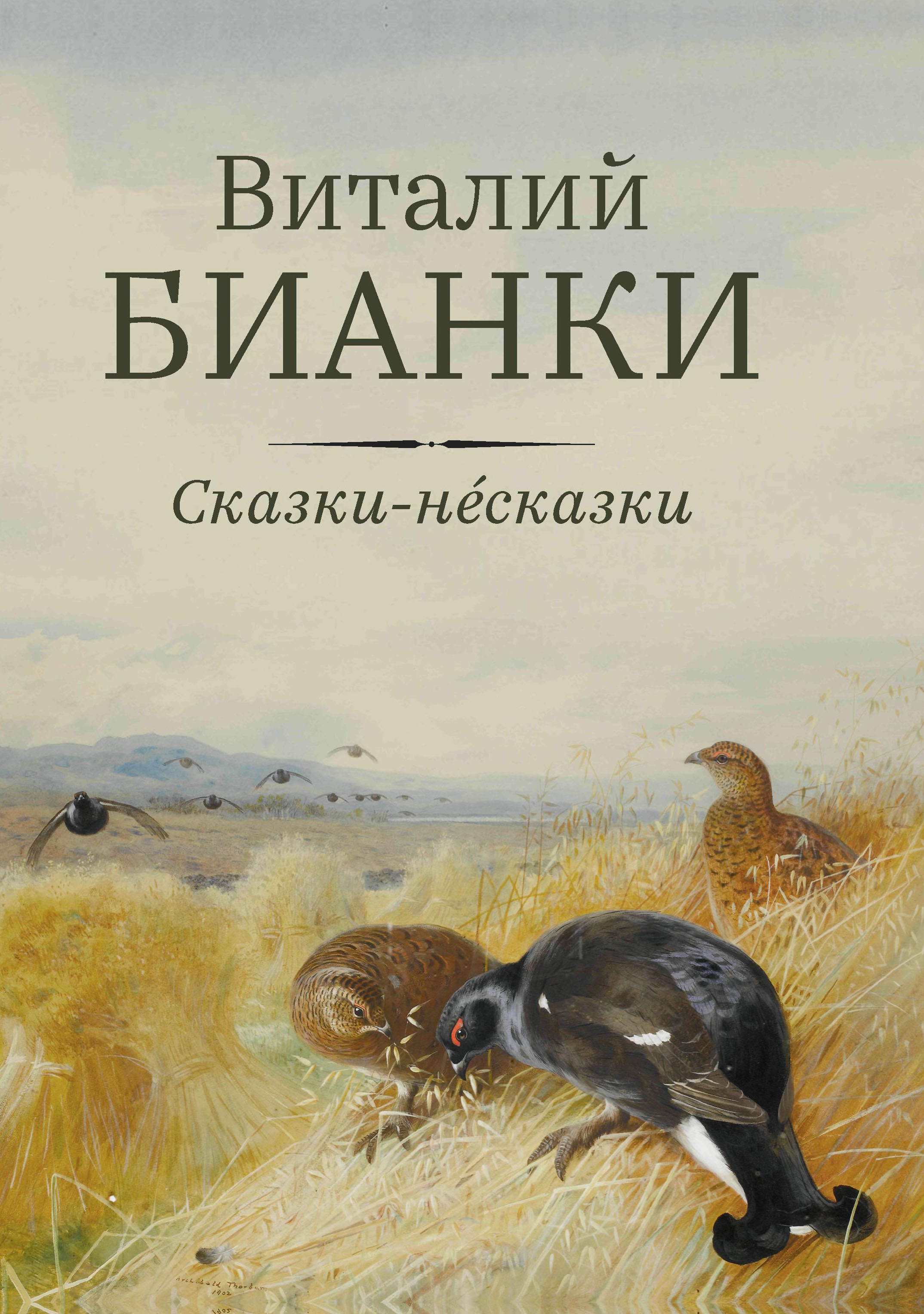 Сказки-несказки: рассказы, повести дп
