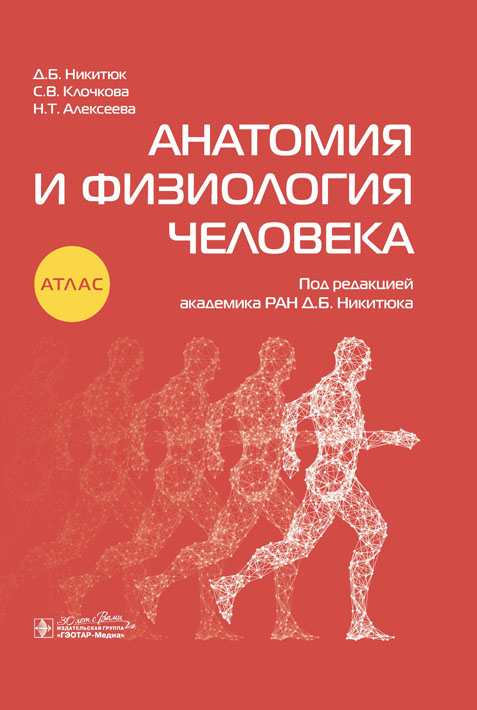 Судебная медицина. Руководство к практическим занятиям по судебной стоматологии: Учебное пособие. 3-е изд., перераб.и доп