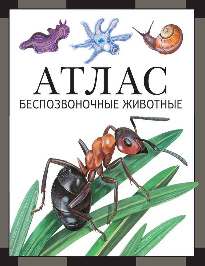 Беспозвоночные животные : атлас (4-е, стереотипное)