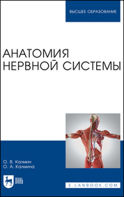 Анатомия нервной системы. Учебное пособие для вузов