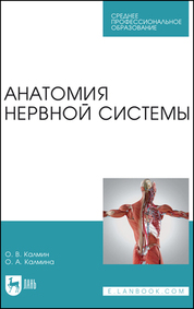 Анатомия нервной системы. Учебное пособие для СПО