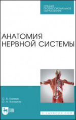 Анатомия нервной системы. Учебное пособие для СПО
