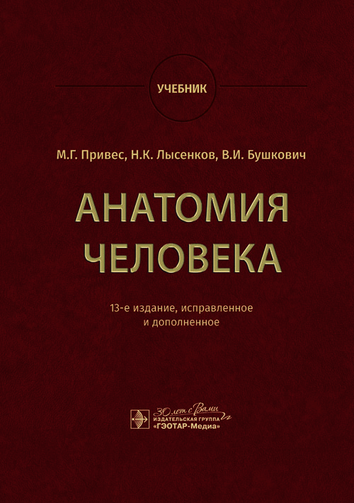 Анатомия человека: Учебник. 13-е изд., испр. и доп