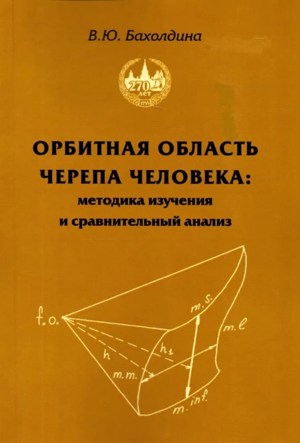 Орбитная область черепа человека