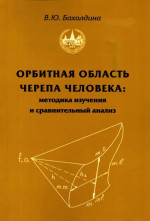Орбитная область черепа человека