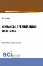 Финансы организаций: практикум. (Бакалавриат). Учебно-практическое пособие