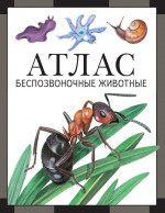 Беспозвоночные животные : атлас (4-е, стереотипное)
