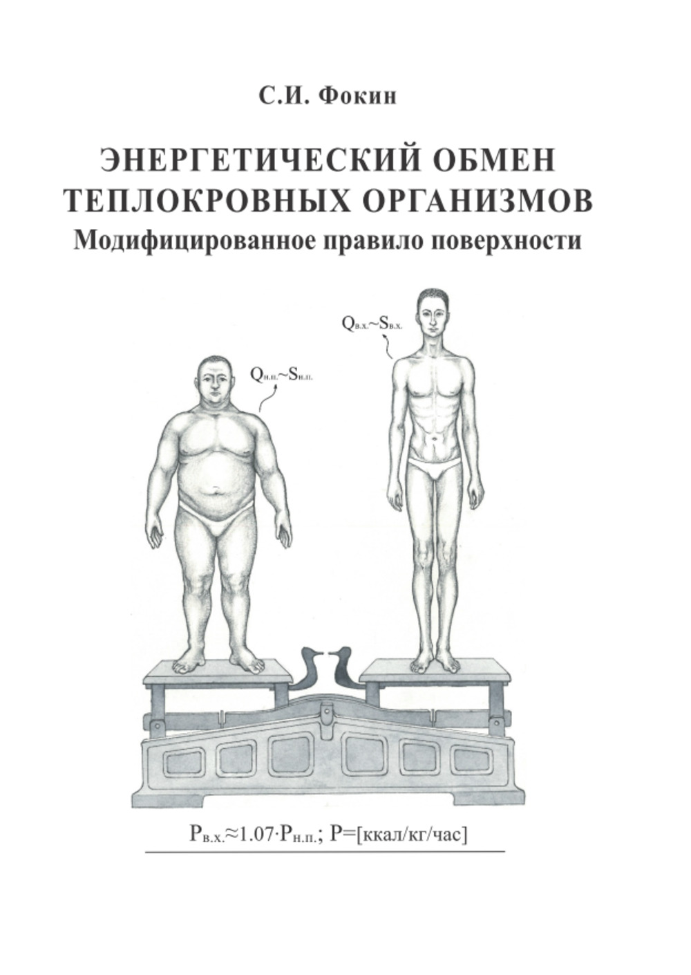 Энергетический обмен теплокровных организмов. Модифицированное правило поверхности