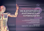 Международная анатомическая терминология [ТА2] / под ред. Д. Б. Никитюка. — Москва : ГЭОТАР-Медиа, 2024. — 488 с