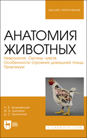 Анатомия животных. Неврология. Органы чувств. Особенности строения домашней птицы. Практикум. Учебное пособие для вузов, 2-е изд., стер