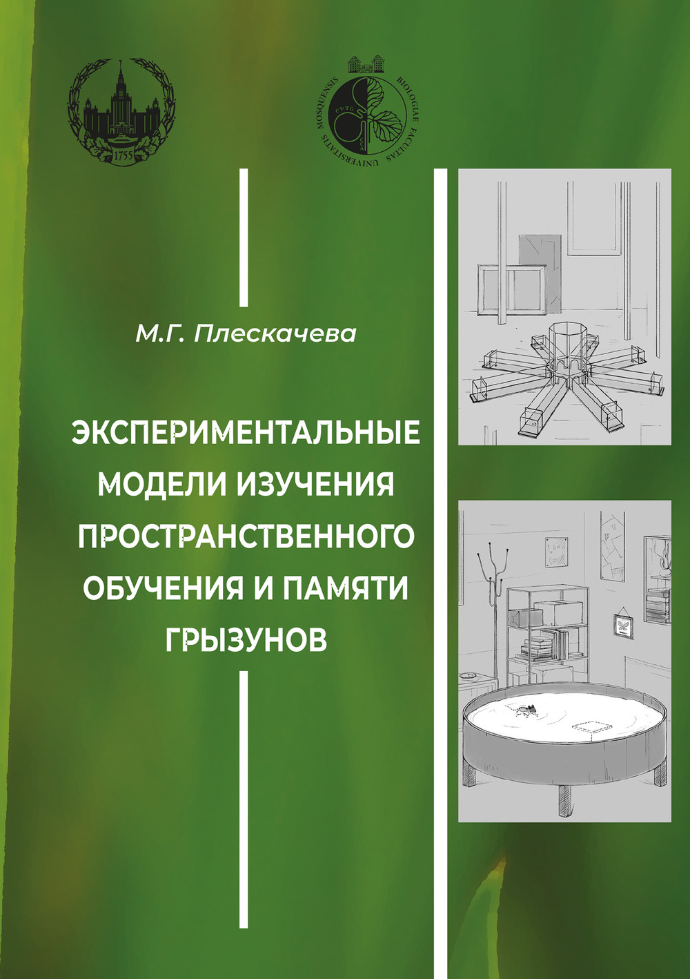 Экспериментальные модели изучения пространственного обучения и памяти грызунов