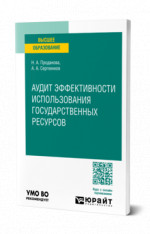 Аудит эффективности использования государственных ресурсов