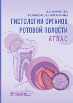 Гистология органов ротовой полости.Атлас