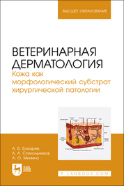 Ветеринарная дерматология. Кожа как морфологический субстрат хирургической патологии. Учебное пособие для вузов