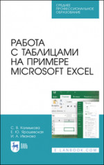 Работа с таблицами на примере Microsoft Excel. Учебное пособие для СПО, 4-е изд., стер