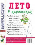 Лето в картинках. Наглядное пособие для педагогов, логопедов, воспитателей и родителей