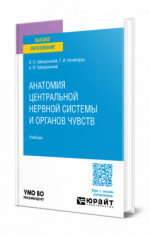Анатомия центральной нервной системы и органов чувств