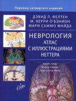 Неврология. Атлас с иллюстрациями Неттера