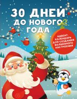 АктивитиКн.30 дней до Нового года:адвент-календарь