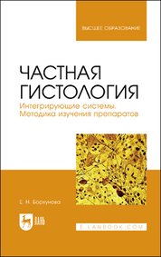 Частная гистология. Интегрирующие системы. Методика изучения препаратов. Учебно-методическое пособие для вузов, 2-е изд., стер