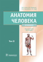 Анатомия человека. Учебник. В 2 т. Т. 2