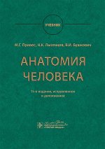 Анатомия человека : учебник / М. Г. Привес, Н. К. Лысенков, В. И. Бушкович; науч. ред. А. А. Славнов, А. А. Белкина. — 14-е изд., испр. и доп. — Москва : ГЭОТАР-Медиа, 2025. — 896 с. : ил