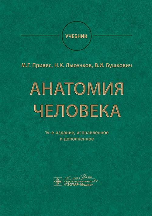 Анатомия человека : учебник / М. Г. Привес, Н. К. Лысенков, В. И. Бушкович; науч. ред. А. А. Славнов, А. А. Белкина. — 14-е изд., испр. и доп. — Москва : ГЭОТАР-Медиа, 2025. — 896 с. : ил
