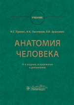 Анатомия человека : учебник / М. Г. Привес, Н. К. Лысенков, В. И. Бушкович; науч. ред. А. А. Славнов, А. А. Белкина. — 14-е изд., испр. и доп. — Москва : ГЭОТАР-Медиа, 2025. — 896 с. : ил