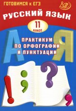 Русский язык 11кл Практикум по орфогр.и пунктуации