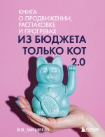 Из бюджета только кот 2.0