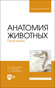 Анатомия животных. Практикум. Учебное пособие для вузов, 2-е изд., стер