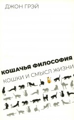 Кошачья философия: кошки и смысл жизни