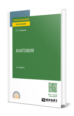 Анатомия