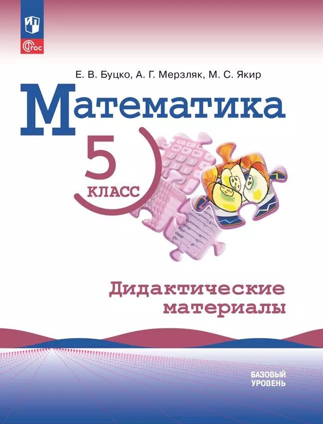 Математика 5 класс. Базовый уровень. Дидактические материалы